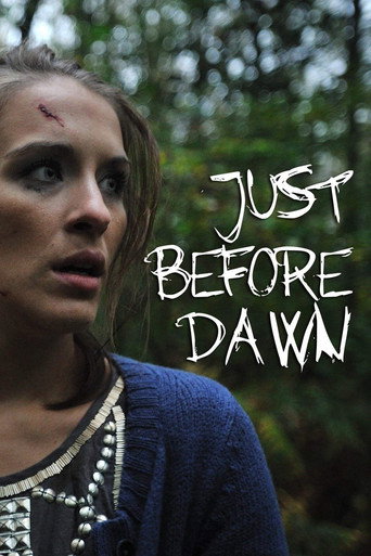 Just Before Dawn movie poster