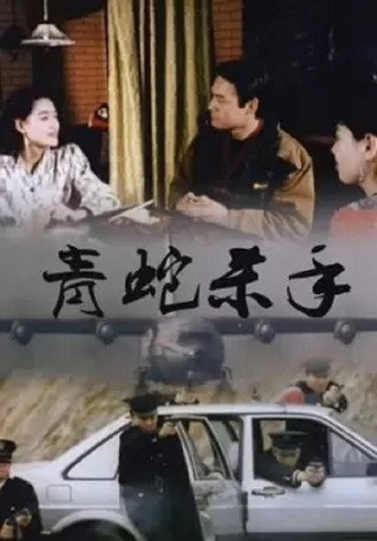 Snake Fist movie poster