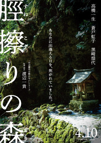 The Forest of Sunekosuri movie poster