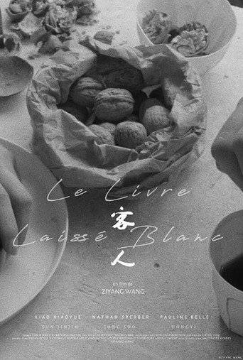 客人 movie poster