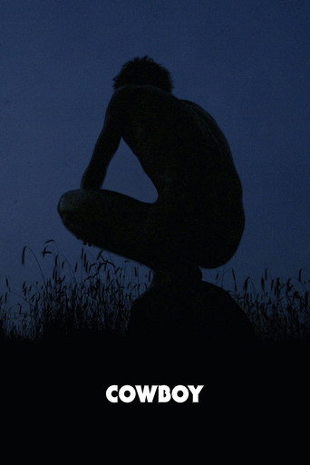 Cowboy movie poster