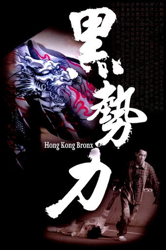 Hong Kong Bronx movie poster