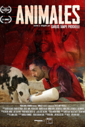 Animales movie poster