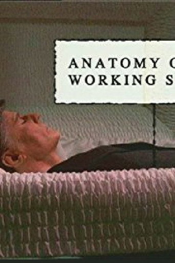 Anatomy of a Working Stiff movie poster