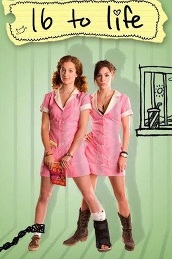 16 to Life movie poster