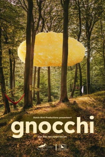 Gnocchi movie poster