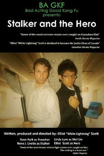 Stalker and the Hero movie poster
