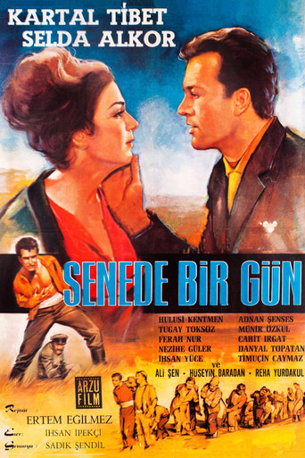 Once a Year movie poster