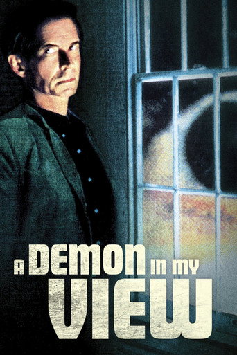 A Demon in My View movie poster
