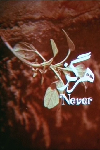 Never movie poster