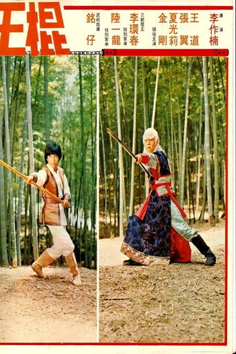 Shaolin Invincible Sticks movie poster