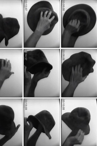 Folding Hat movie poster