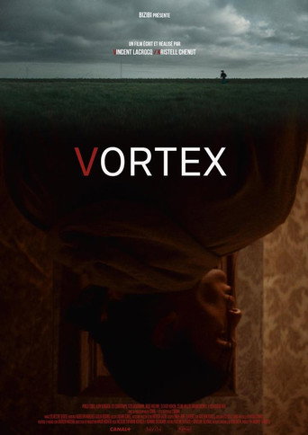 Vortex movie poster