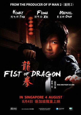 Fist of Dragon movie poster