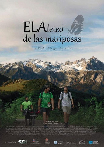 EL Aleteo de las mariposas movie poster