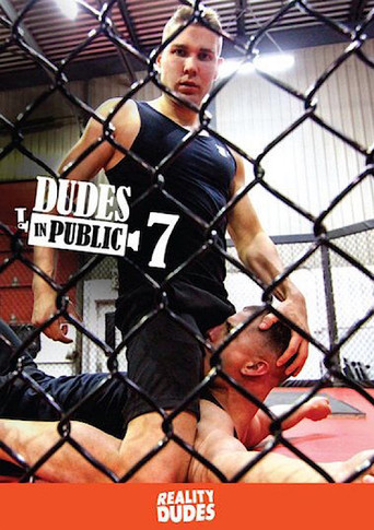 Dudes in Public 7 movie poster