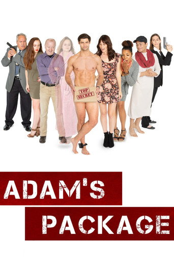 Adam's Package movie poster