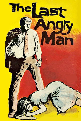 The Last Angry Man movie poster