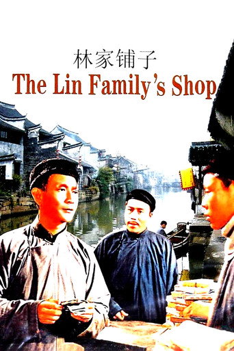 The Lin Family Shop movie poster