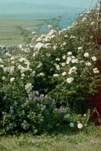 Glimpses from a Visit to Orkney in Summer 1995 movie poster
