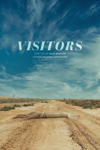 Visitors movie poster