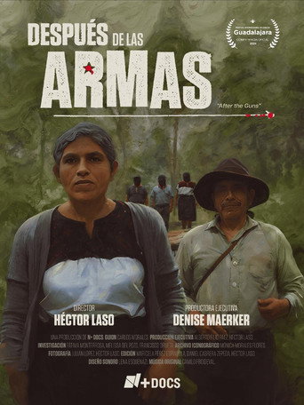 Después de las armas movie poster