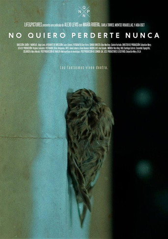 No quiero perderte nunca movie poster