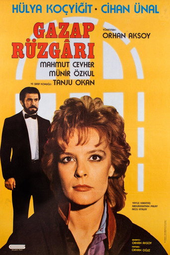 Gazap Rüzgarı movie poster