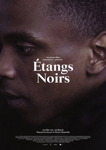 Étangs Noirs movie poster