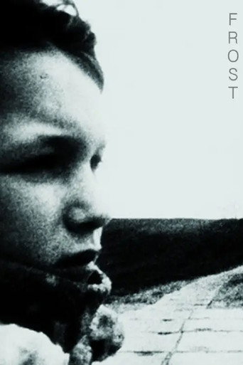 Frost movie poster