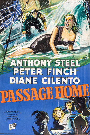 Passage Home movie poster