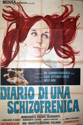 Diary of a Schizophrenic Girl movie poster