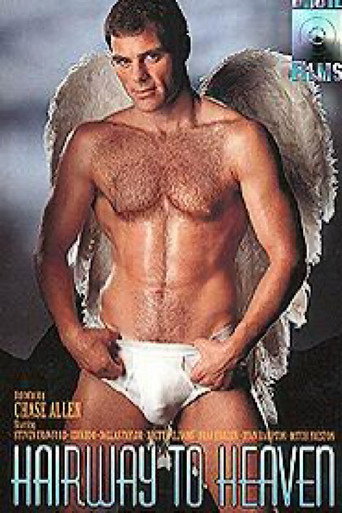 Hairway to Heaven movie poster