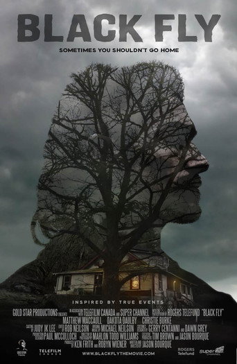 Black Fly movie poster