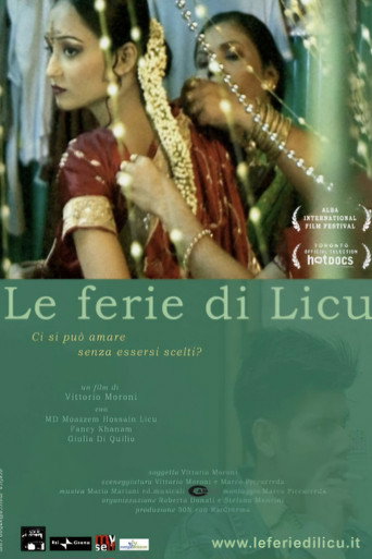 Licu's holidays movie poster