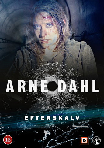 Arne Dahl 09 - Afterquake movie poster