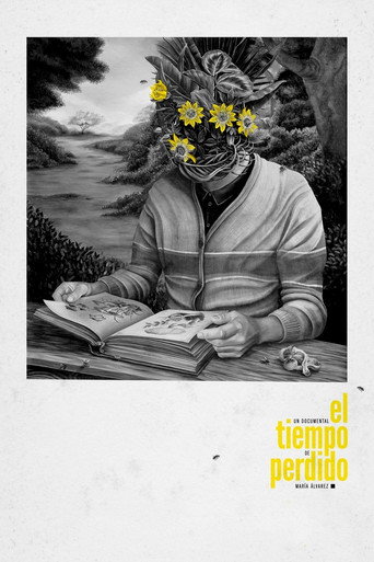 Le Temps Perdu movie poster