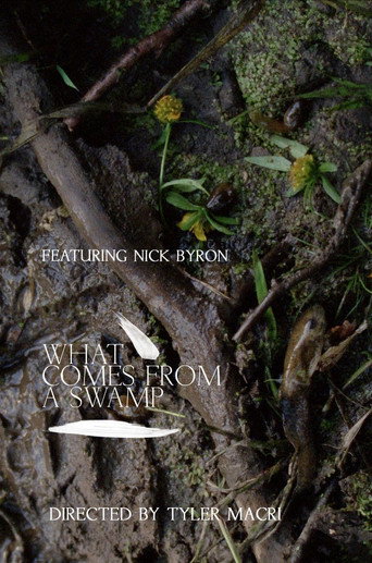 What Comes from a Swamp movie poster