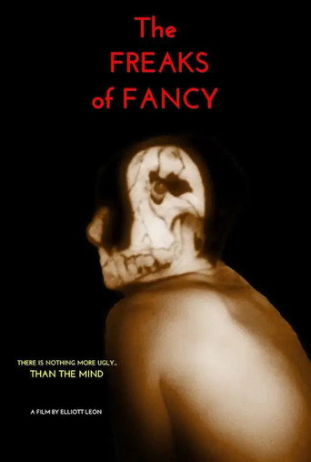 The Freaks Of Fancy movie poster