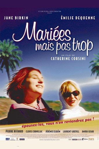 The Very Merry Widows movie poster