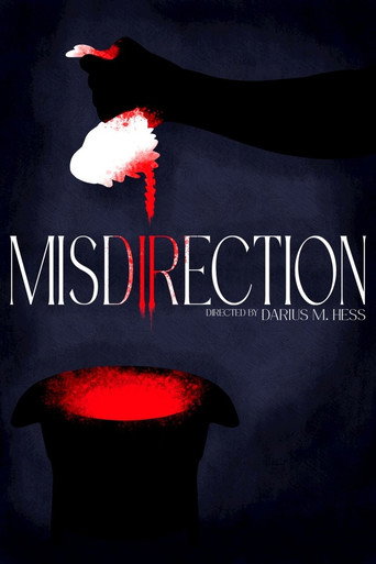 Misdirection movie poster