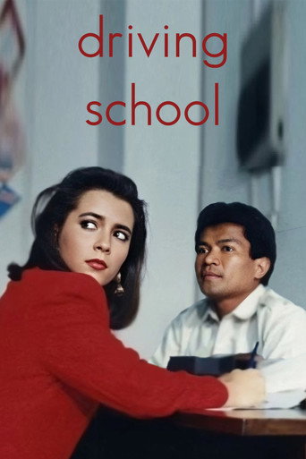 Driving School movie poster