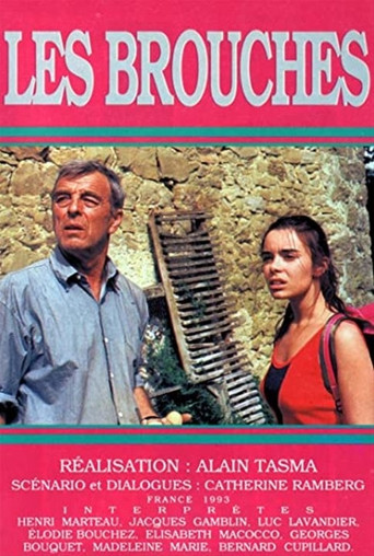Les brouches movie poster