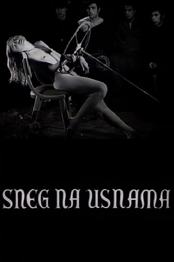 Snow on the Lips movie poster