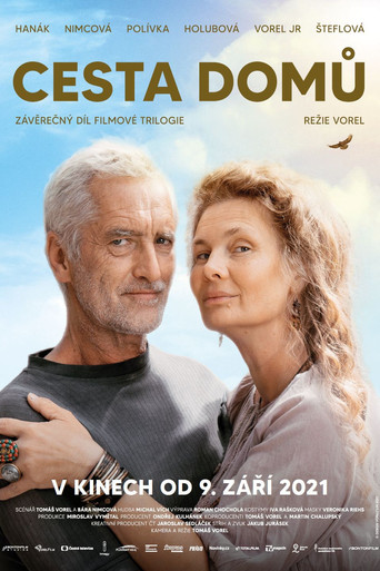 Way Home movie poster