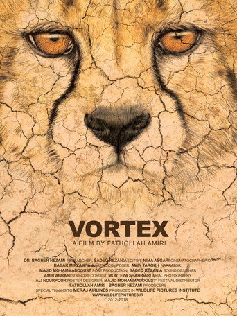 Vortex movie poster