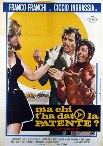 Who Gave You the License? movie poster