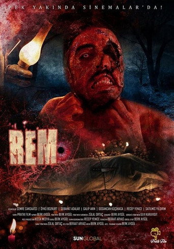 REM movie poster