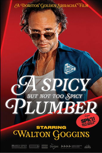 A Spicy but Not Too Spicy Plumber movie poster