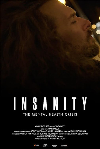 Insanity movie poster